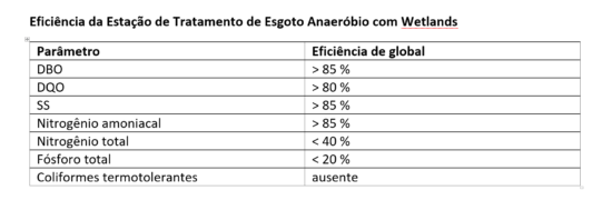 Estação de Tratamento de Esgoto por Zona de Raízes